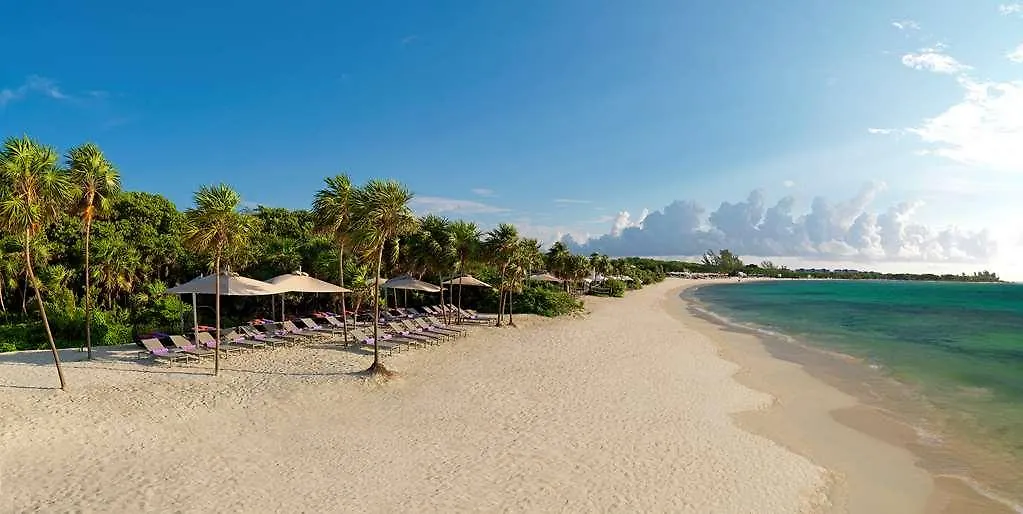 The Reserve Paradisus Playa Del Carmen (Adults Only) メキシコ